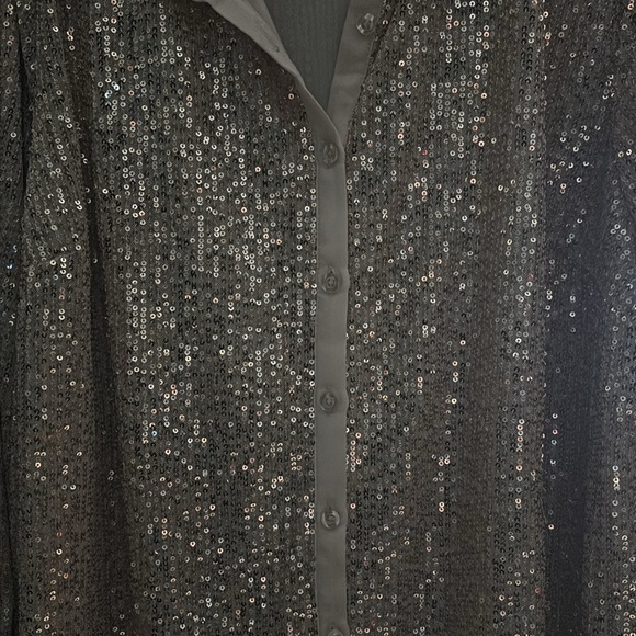 Torrid - Madison long sleeve button down sequin blouse - rose gold 3X - Picture 4 of 4